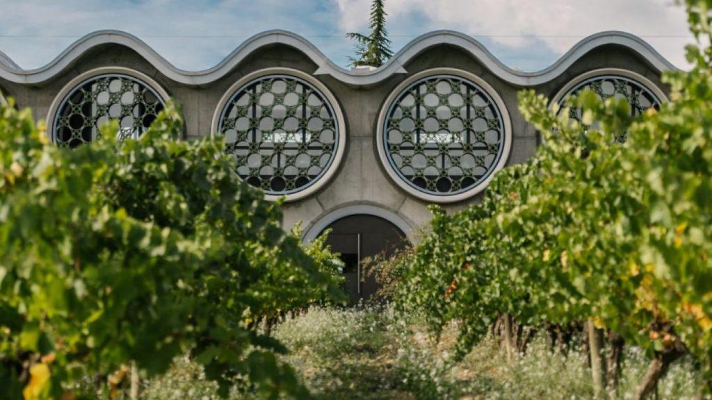 Vinyes de l'hotel Mastinell