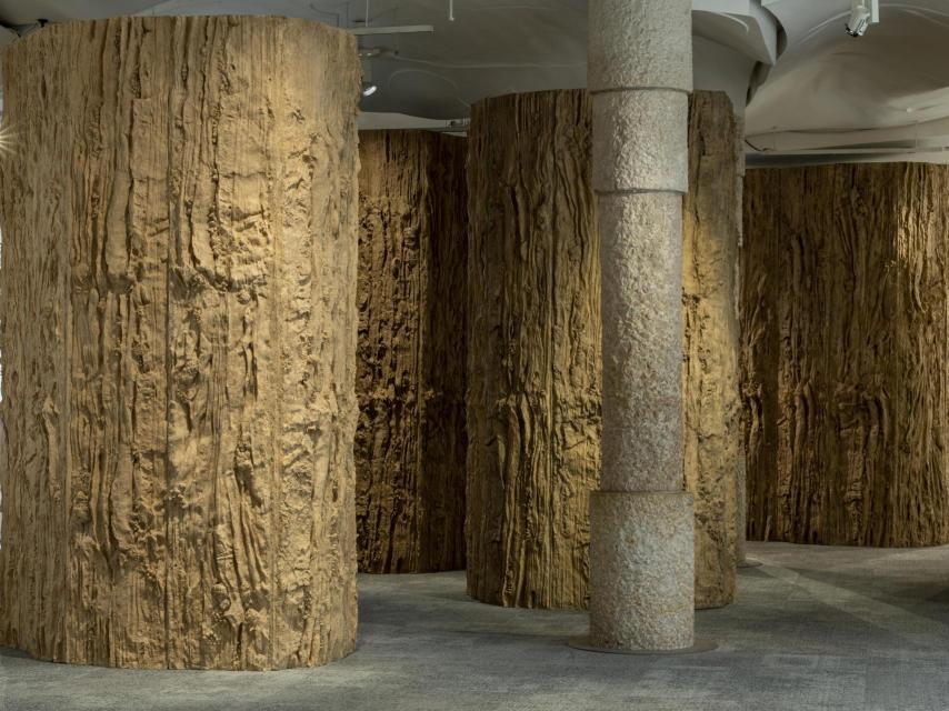 ‘Bosque mineral’, 2025.