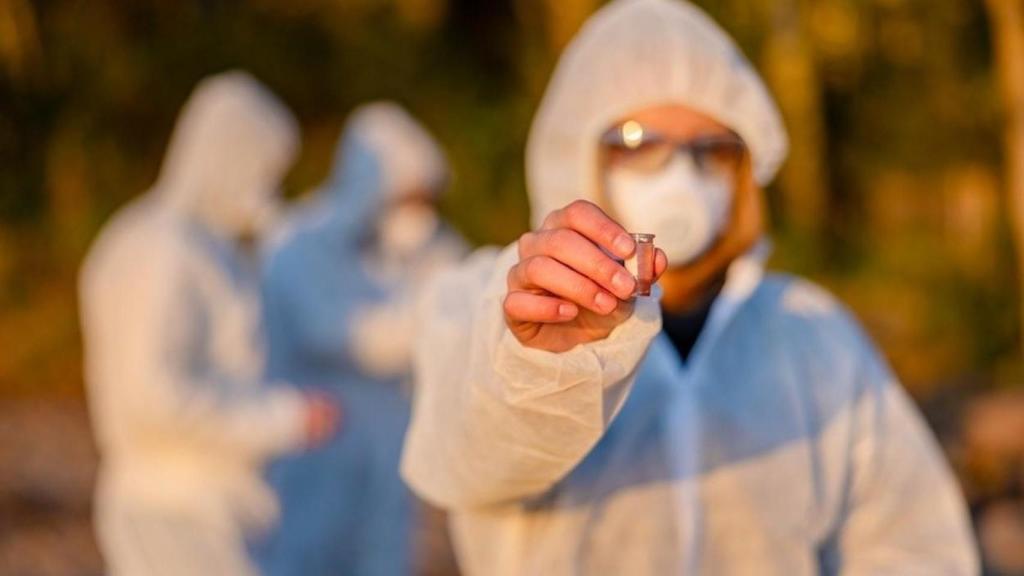 Desinsectación y control de plagas