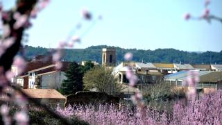 El discreto pueblo de Lleida que recibe una lluvia de millones de euros, Torrelomeu