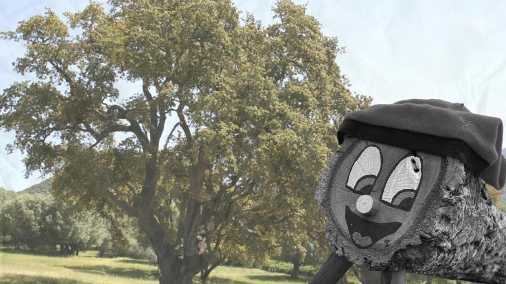 Un fotomontaje de un tió de Nadal sobre una imagen de un alcornoque de fondo