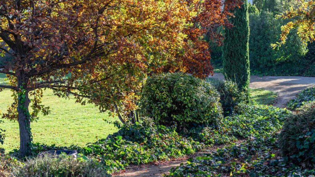 Tiene nombre de palacio pero es desconocido pueblo de Lleida: cuenta con cuatro ermitas y un curioso pasado