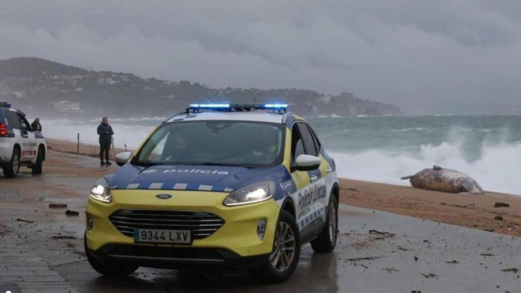 Cuerpos de seguridad, en la playa de Platja d'Aro