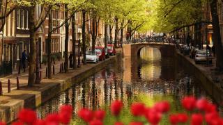 Parece Amsterdam pero es Cataluña, el pueblo de Girona que fascina a la prensa internacional: De los pocos lugares donde todavía se puede pasear