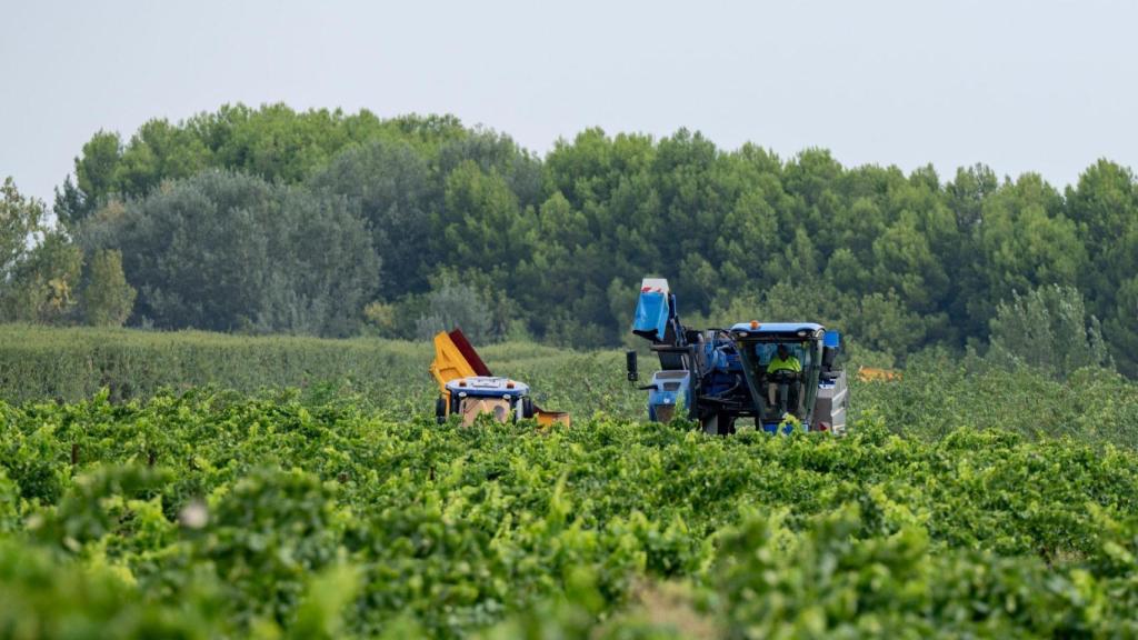 Confirmado por la UE: estas son las nuevas ayudas a las que pueden optar los regadíos de Lleida