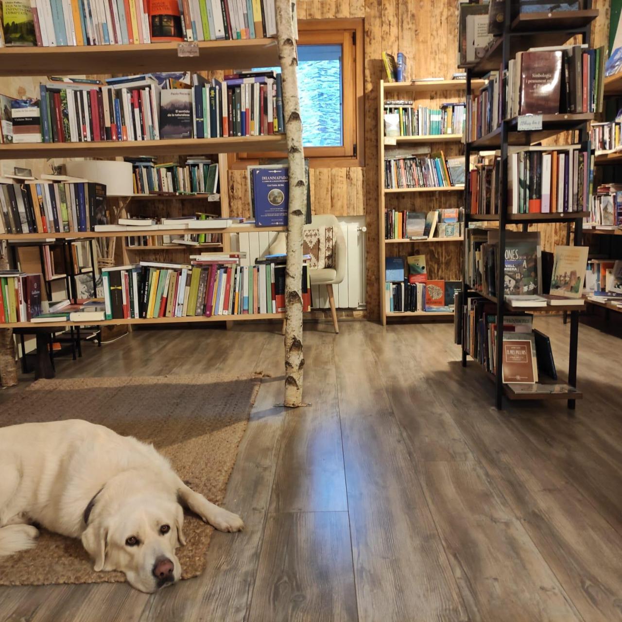 Un perro entre libros en NaturaLlibres