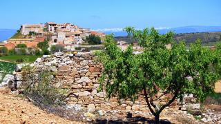 El pequeño y desconocido pueblo de Lleida que conserva un castillo en ruinas y siglos de historia, Granyanella