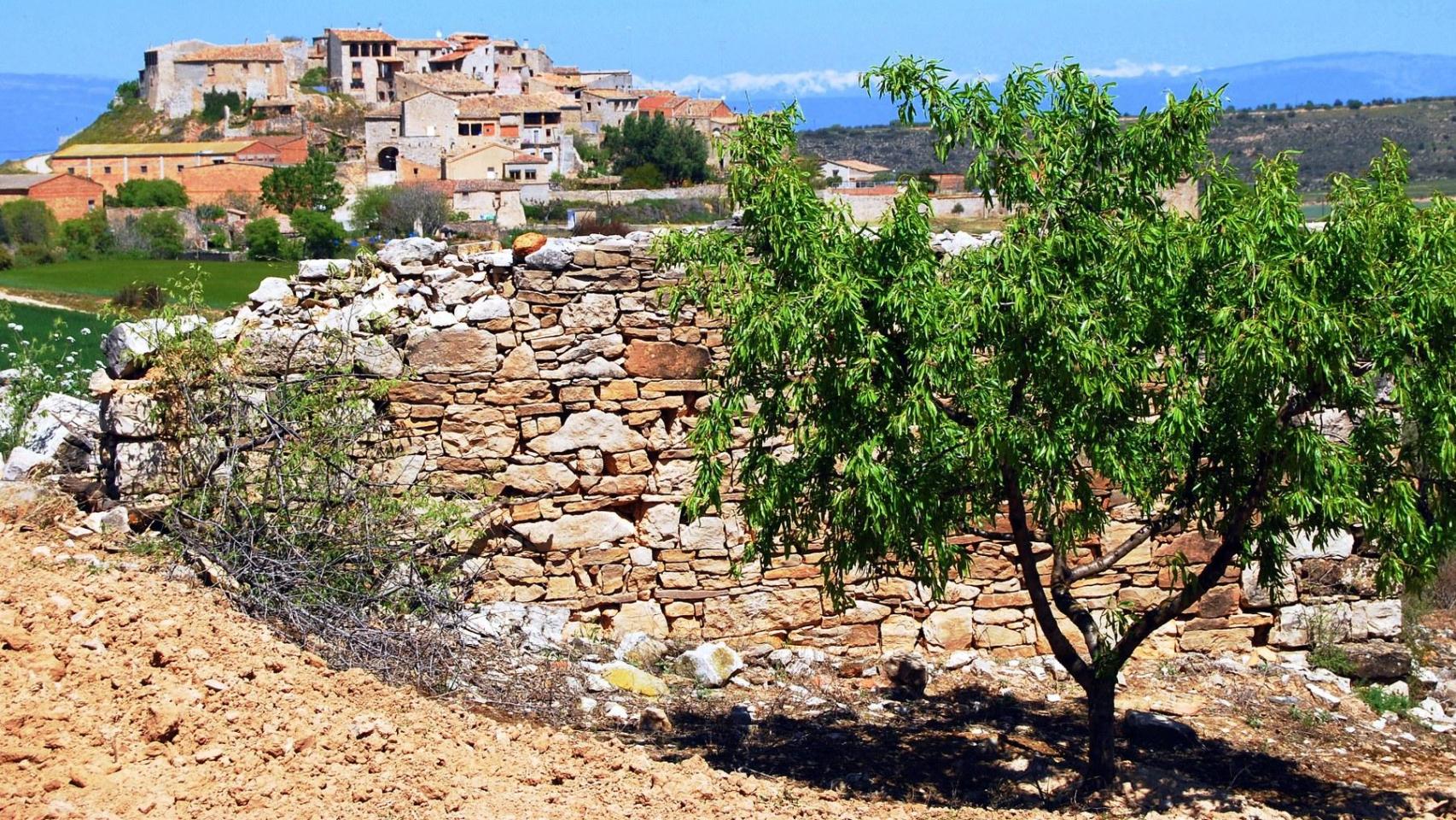 El pequeño y desconocido pueblo de Lleida que conserva un castillo en ruinas y siglos de historia, Granyanella
