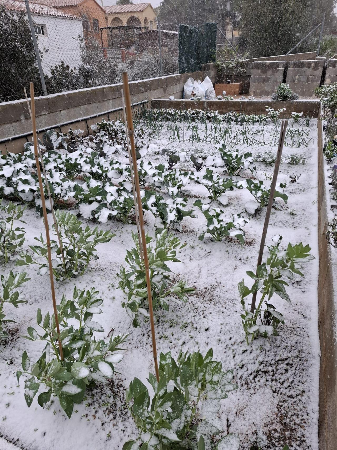 Mirador del Penedès