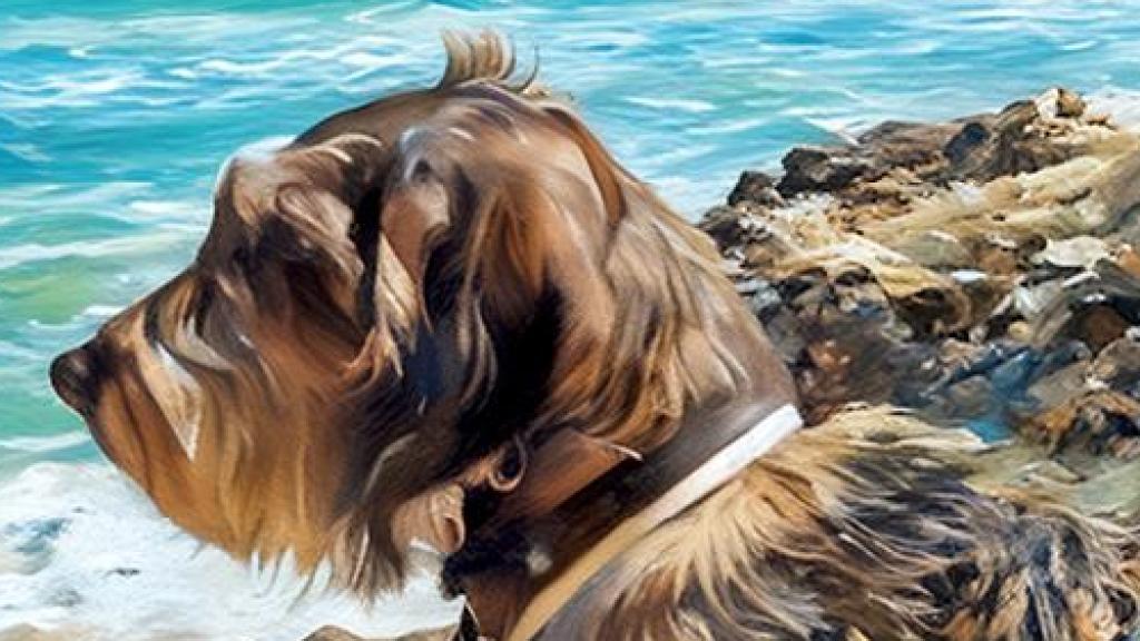 Detalle de la portada del libro de Diego Carrasco