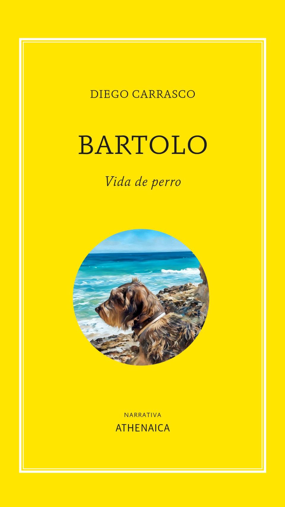 Portada del llibre de Diego Carrasco