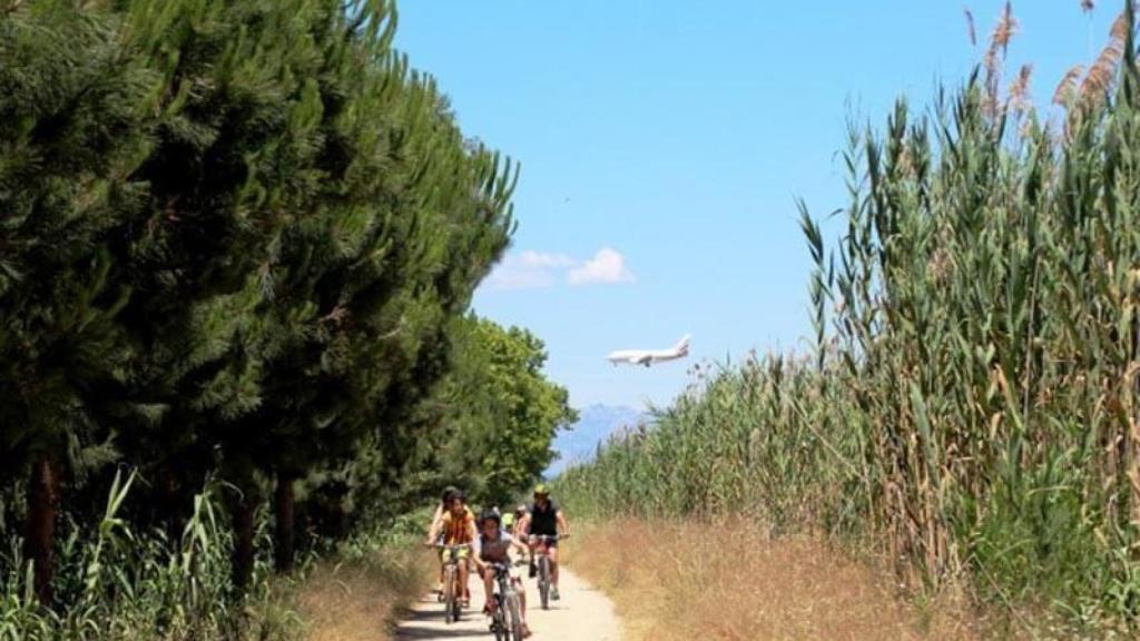 Ruta en bicicleta pel Delta del Llobregat