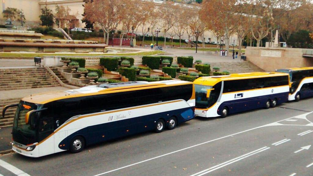 Buses de Monbus, en la avenida María Cristina de Barcelona
