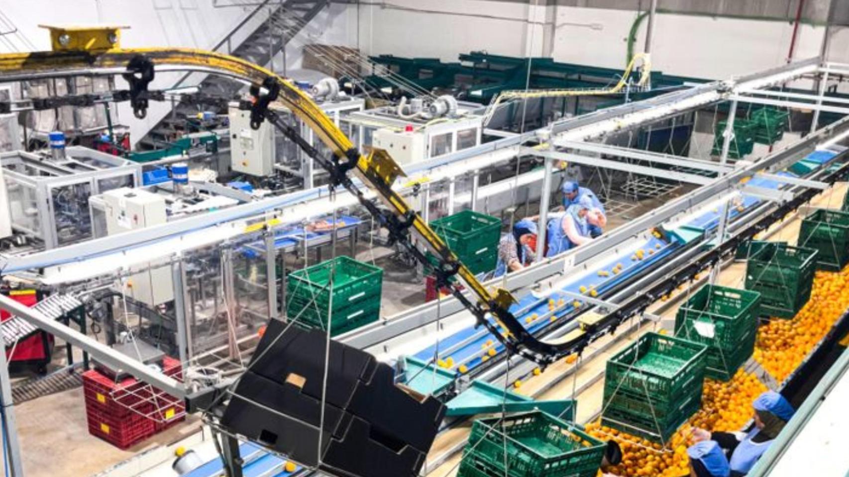 Instalaciones de La Canareva