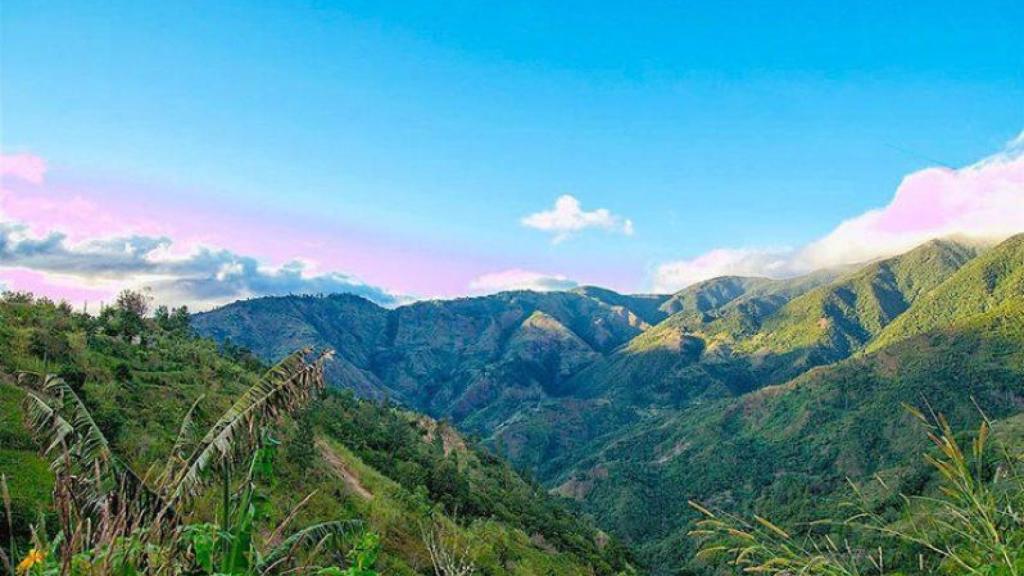 Blue Montains de Jamaica