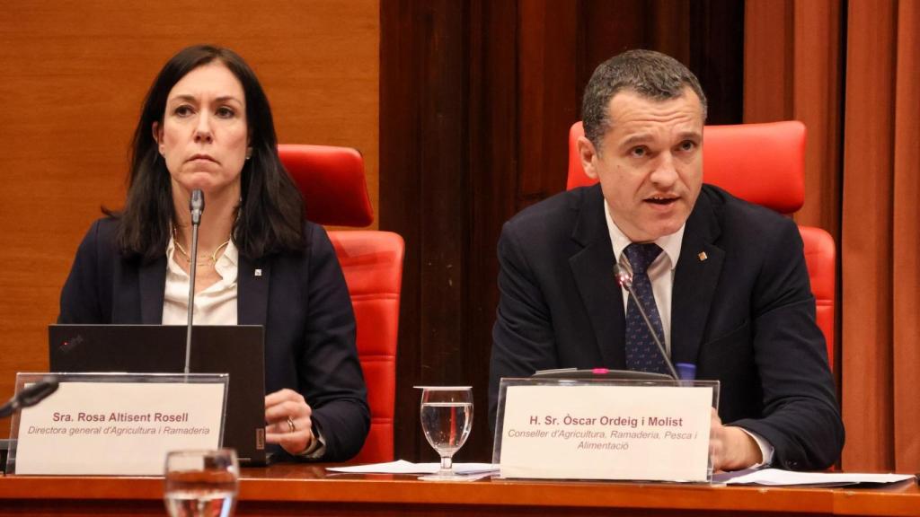 El 'conseller' Òscar Ordeig, durante su comparecencia por la peste porcina agricana, este martes