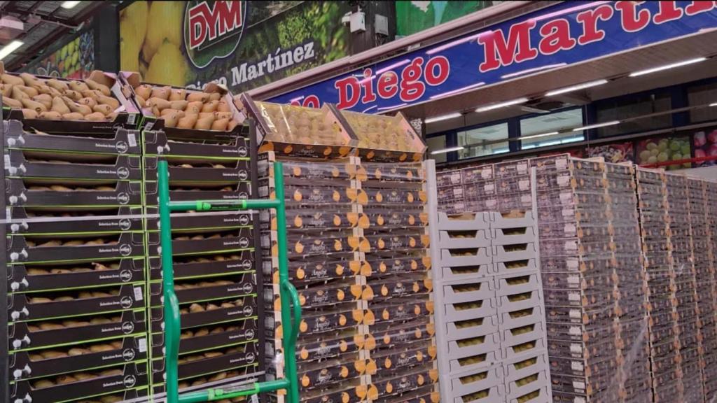 Instalaciones de Diego Martínez