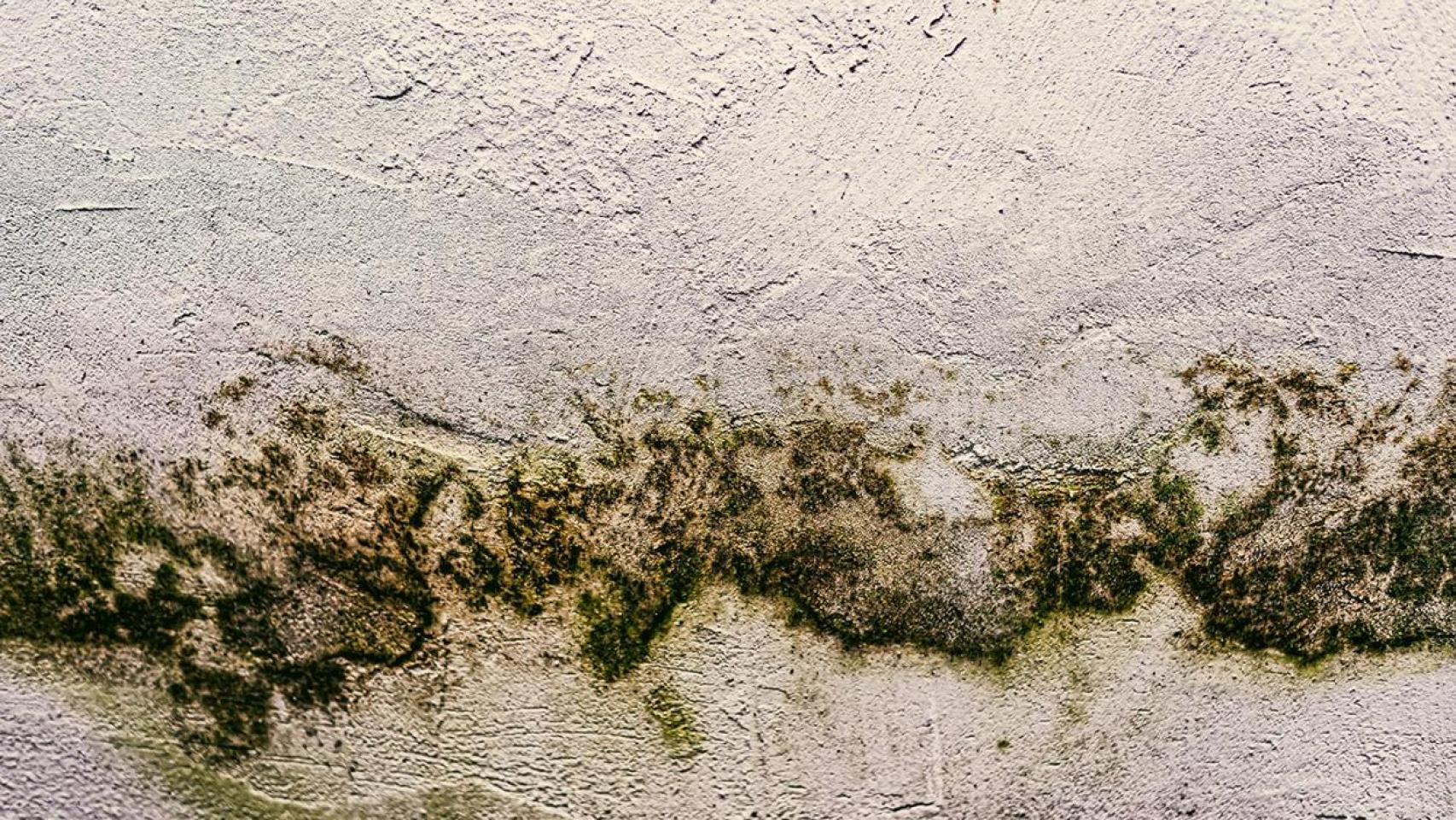 Humedades en una pared
