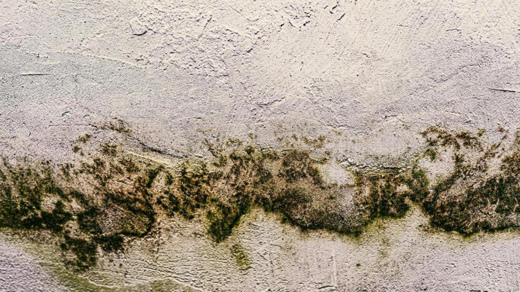 Humedades en una pared
