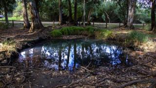 Los rincones más curiosos del Delta del Ebro, els Ullals de Baltasar