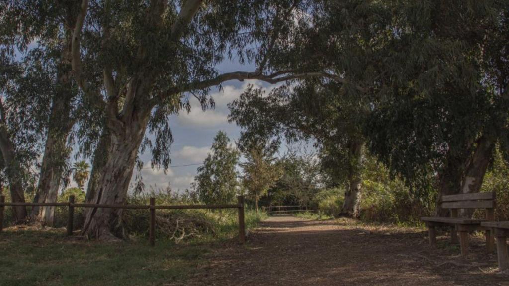 Ruta dels Ullals de Baltasar