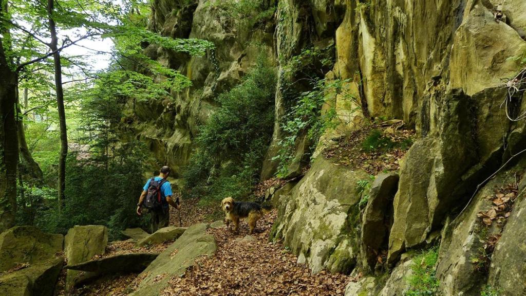 Escletxes de la Freixeneda