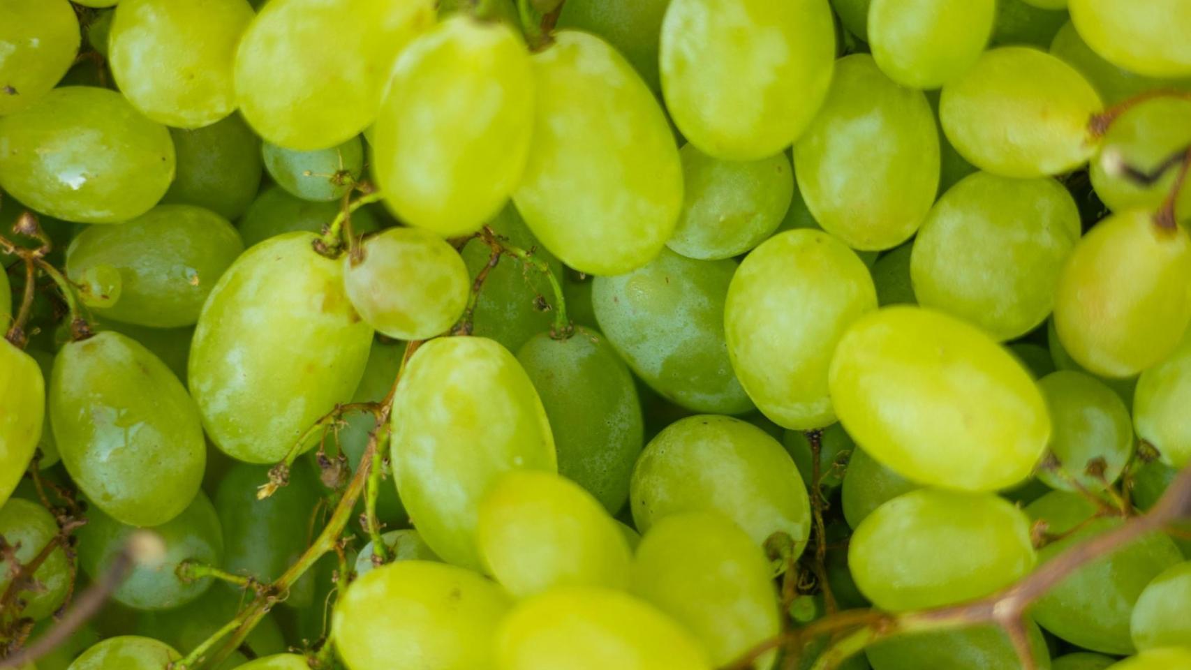 Uvas