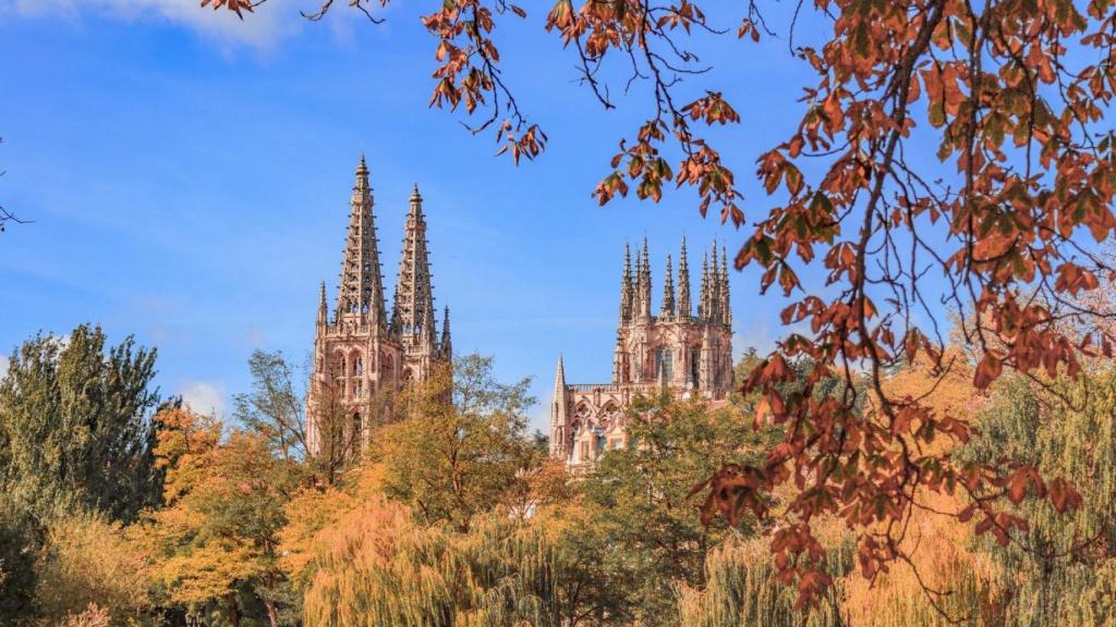 Catedral de Burgos rodeada de árboles