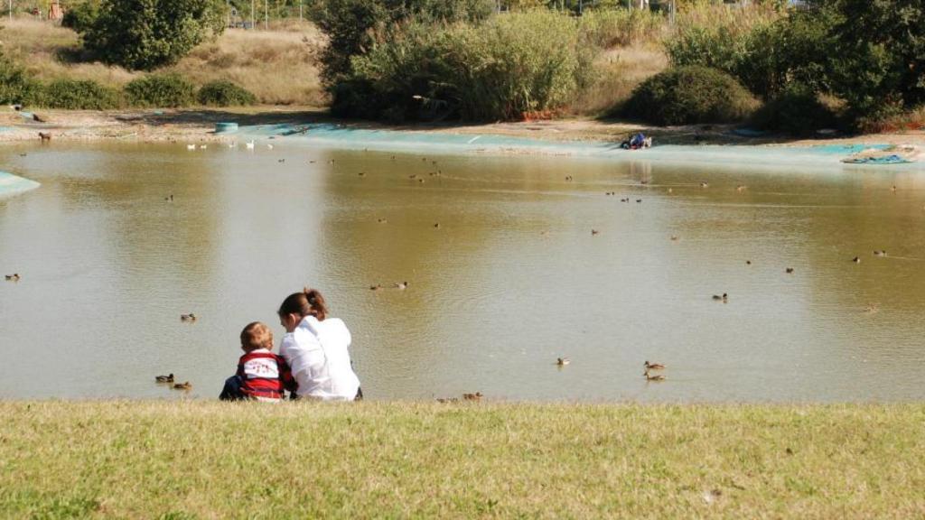 Estanque de La Guinardera de Sant Cugat