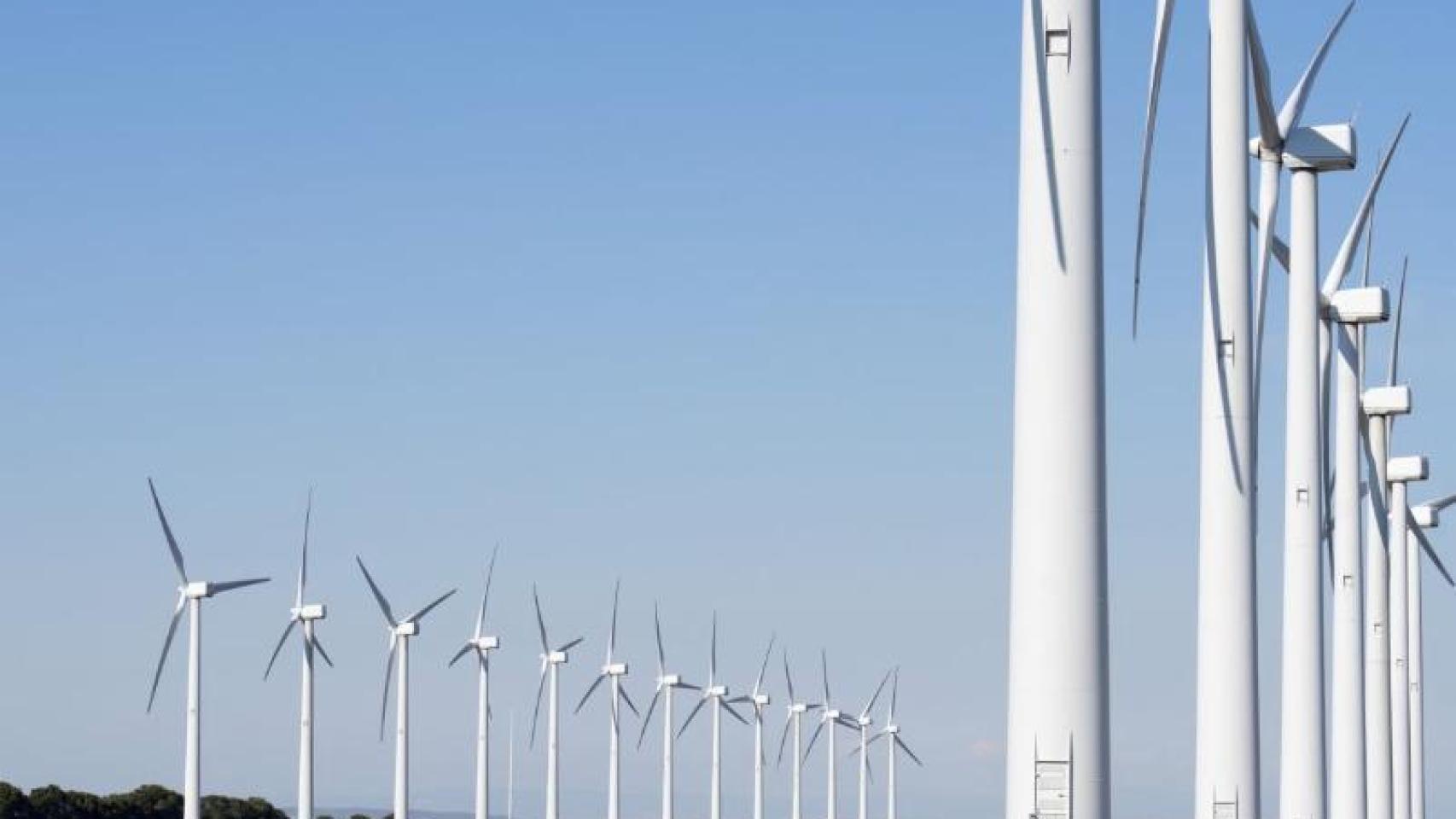 Parque eólico