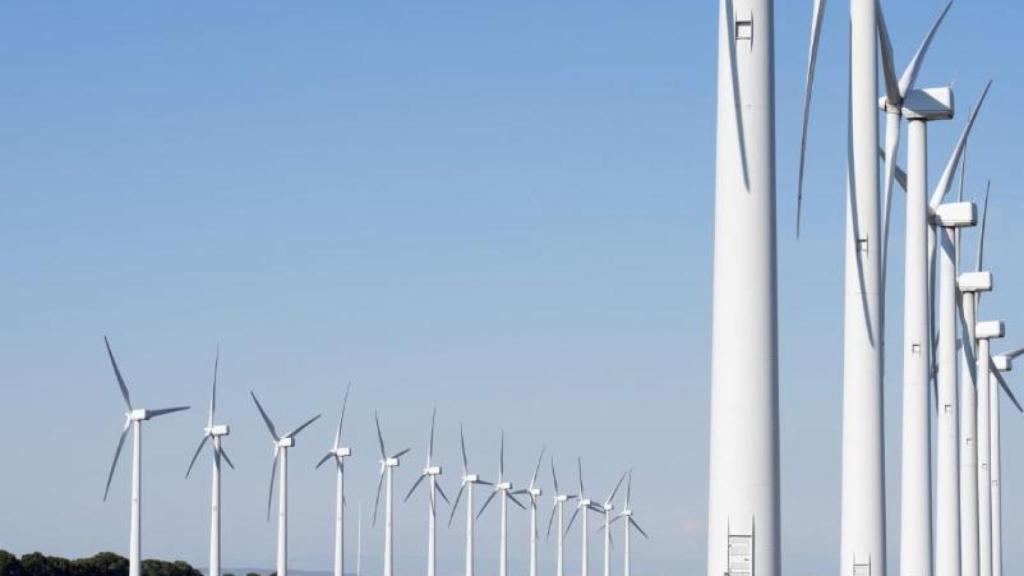 Parque eólico