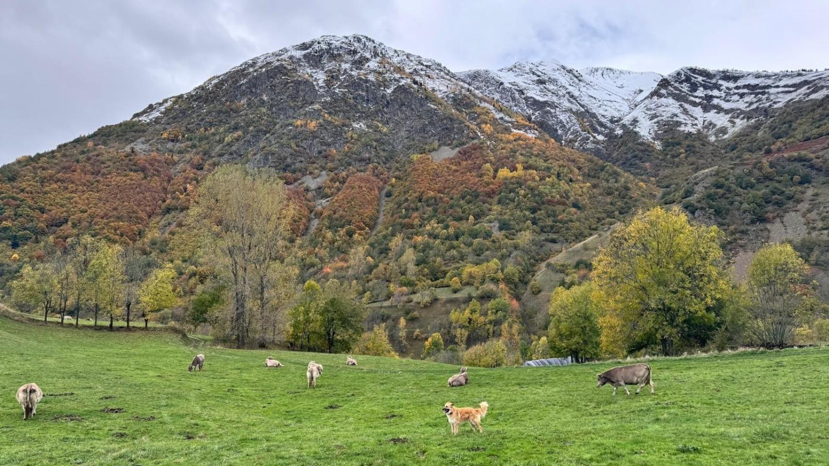 Paisaje de la zona catalana reconocida por la Unesco