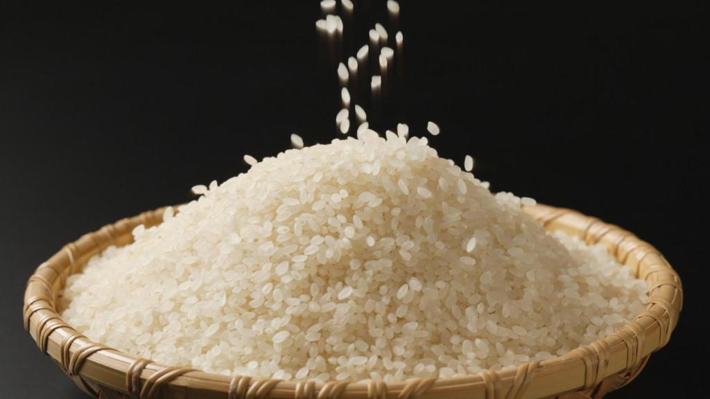 Arroz blanco
