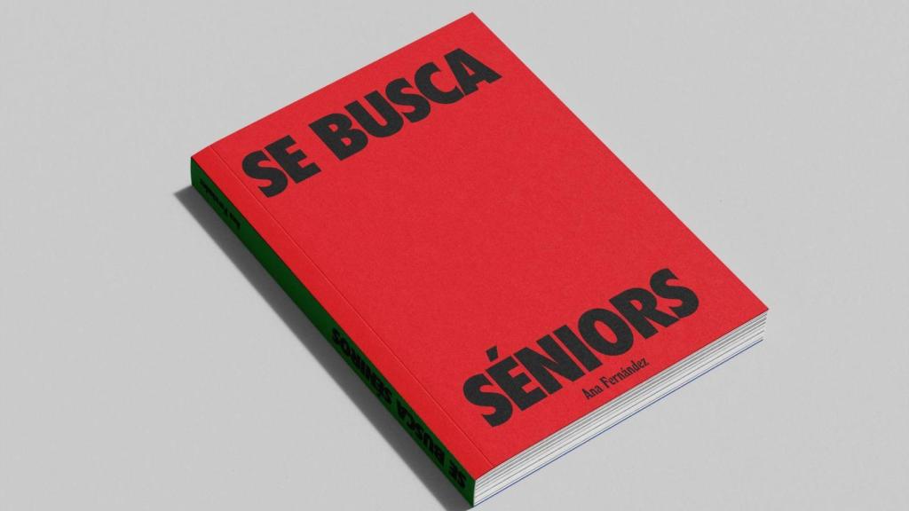 El libro de Ana Fernández