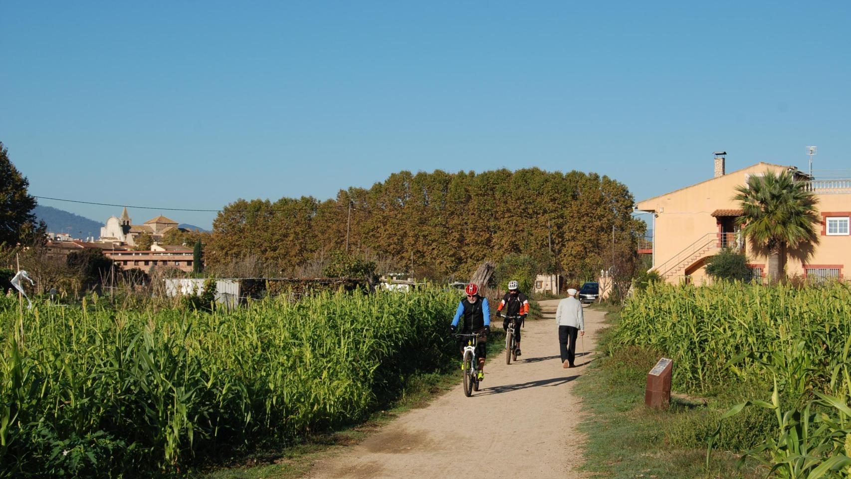 Camino de la ruta Tourdera