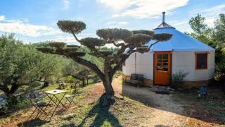 El hotel más curioso de Cataluña, según National Geographic, el Yurta Mongola Delta del Ebro