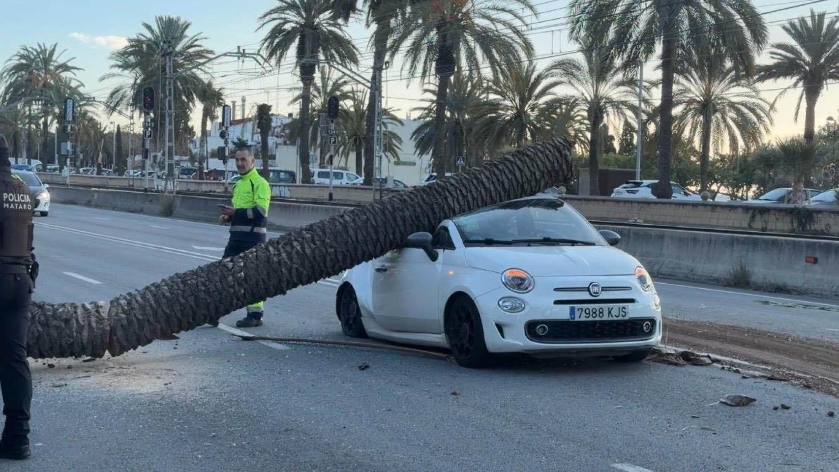 WhatsApp Image 2026-02-12 at 09.45.07 (6).jpg