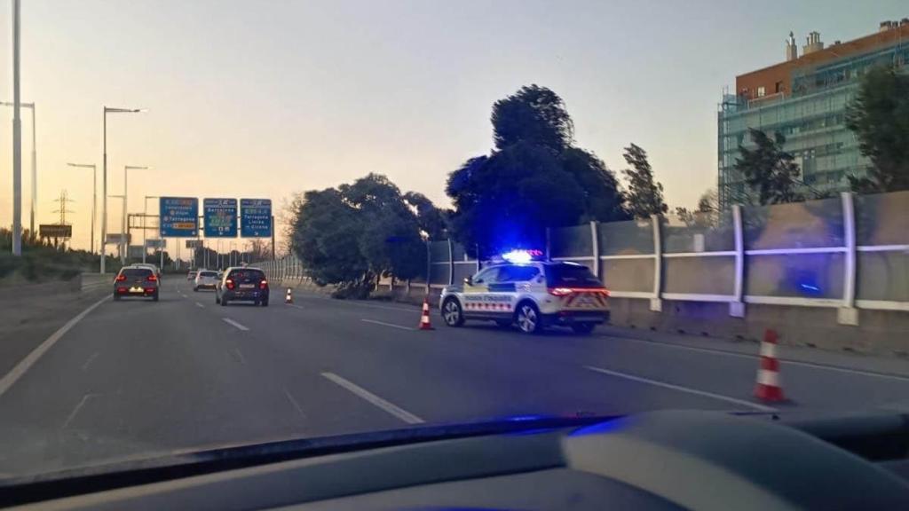 Mossos d’esquadra protegeixen la via en una caiguda d’arbres a la C-32