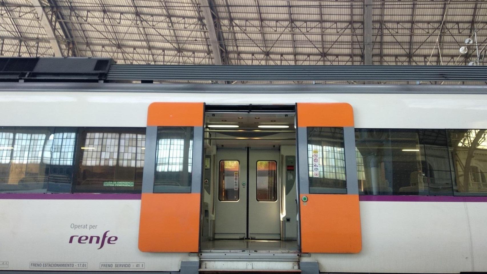 Imagen de un tren de Rodalies detenido