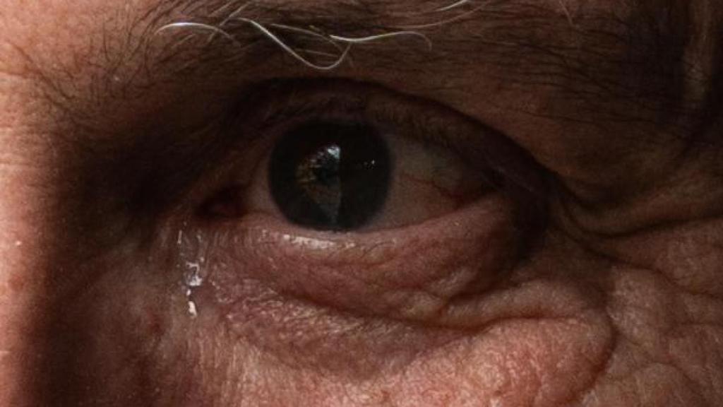 El ojo de José Luis Guerín