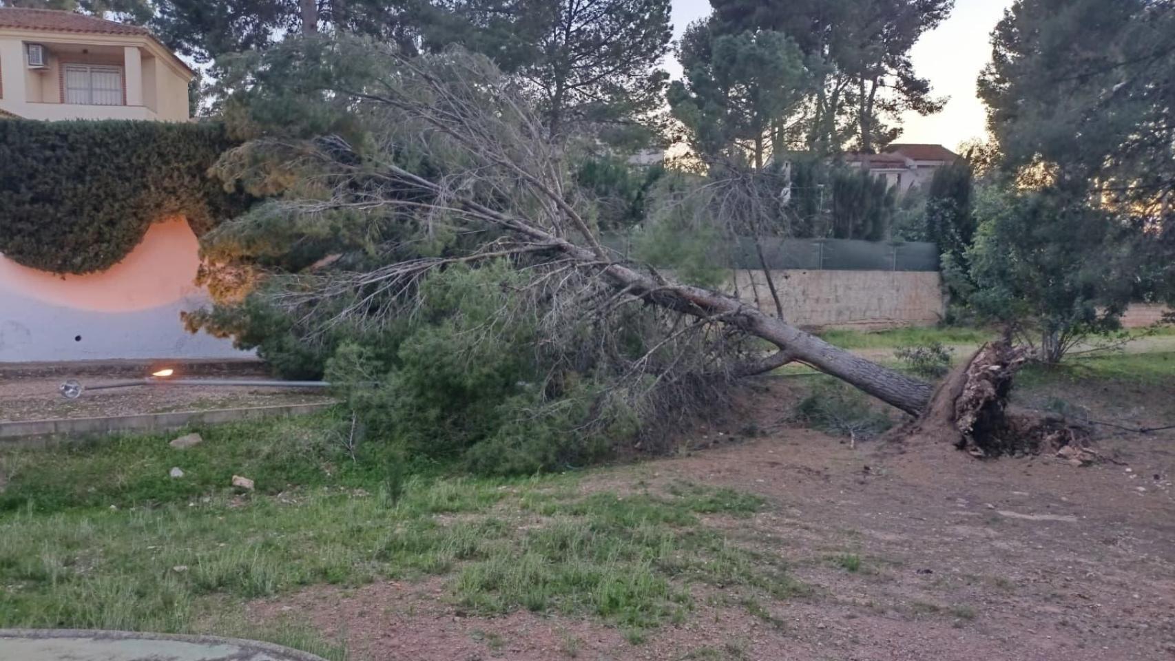 Daños por el temporal de viento