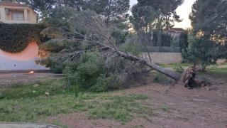 Daños por el temporal de viento