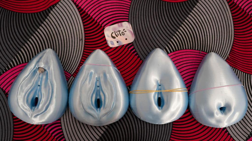 Models dels tipus de mutilació genital. (D'esquerra a dreta) Un no mutilat, Tipus 1, Tipus 2 i Tipus 3
