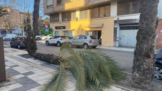 Estas son las comarcas afectadas por el temporal de viento en Cataluña: rachas de … km/hora