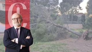 José Antonio Bueno, ingeniero y consultor