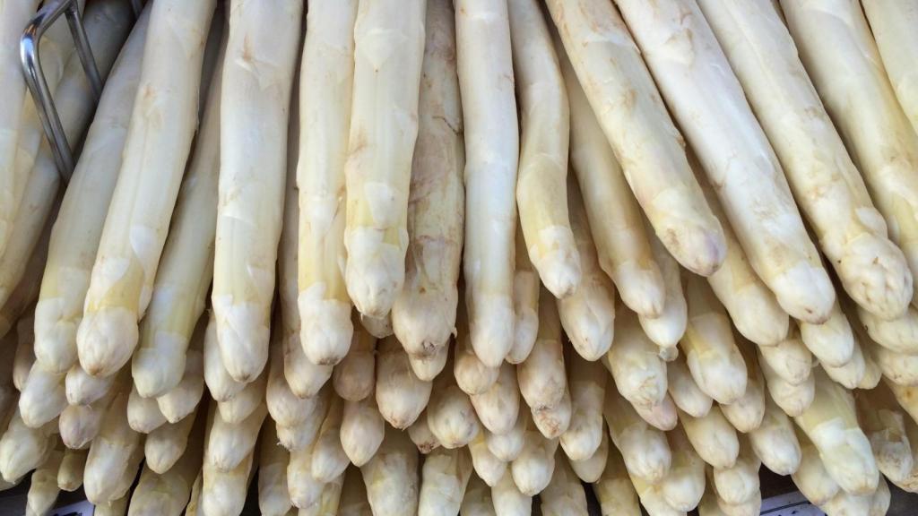 Espàrrecs blancs