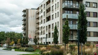 ley para limitar la compra vivienda