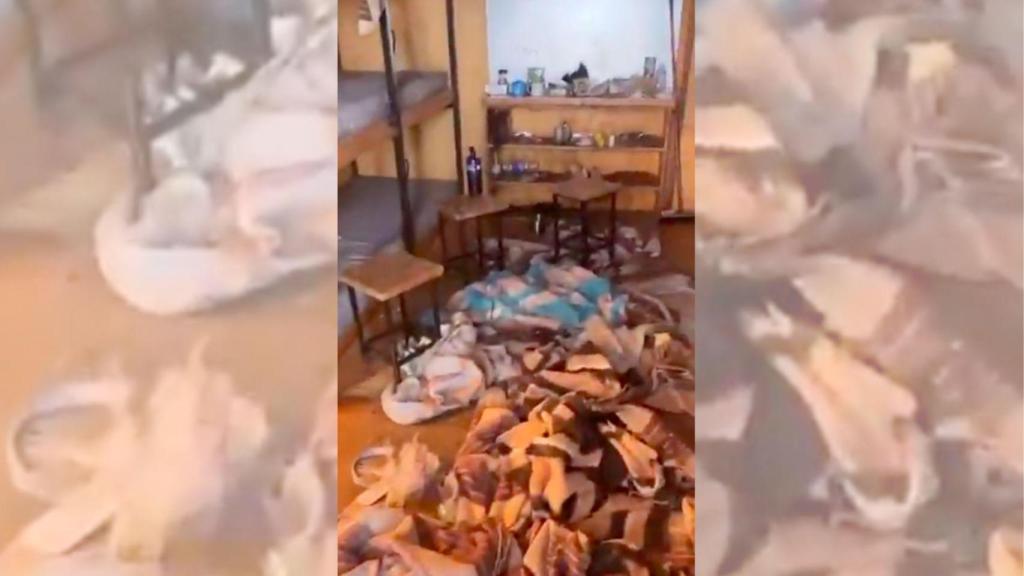 Vandalismo en un refugio de los Pirineos catalanes: Es una vergüenza