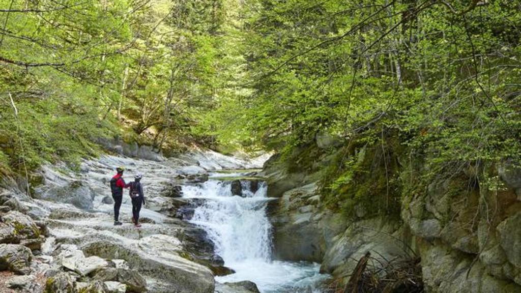 Viatgers practiquen senderisme a la Selva d'Irati, un bosc pràcticament verge