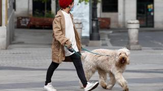 Persona con perro por la calle